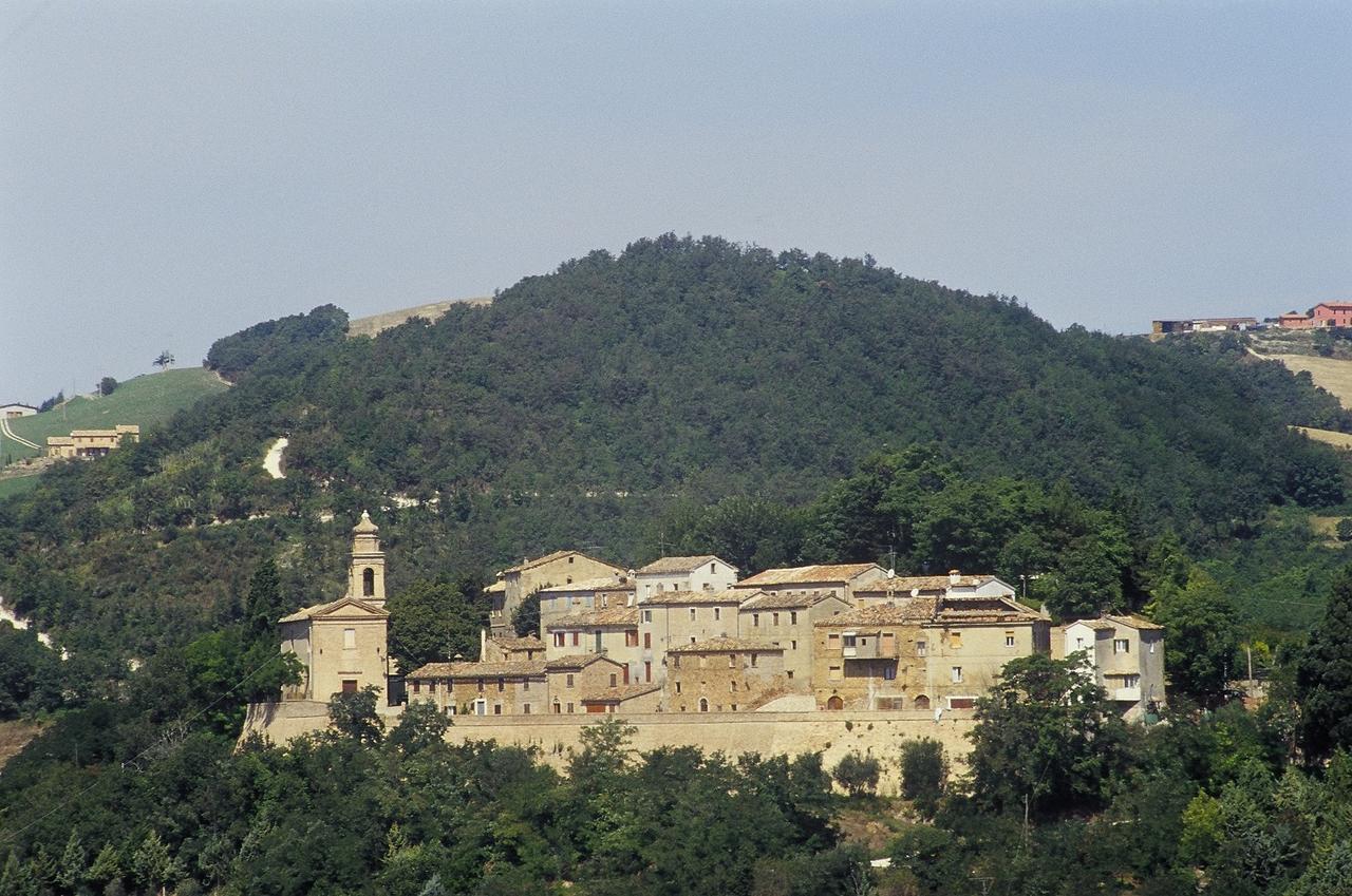 Agriturismo Pozzuolo Serrungarina Екстер'єр фото