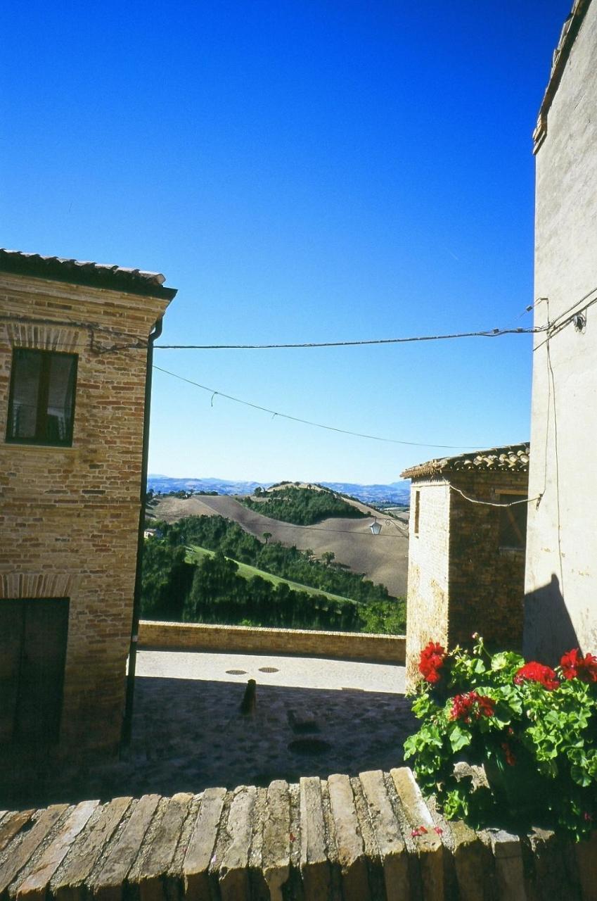 Agriturismo Pozzuolo Serrungarina Екстер'єр фото