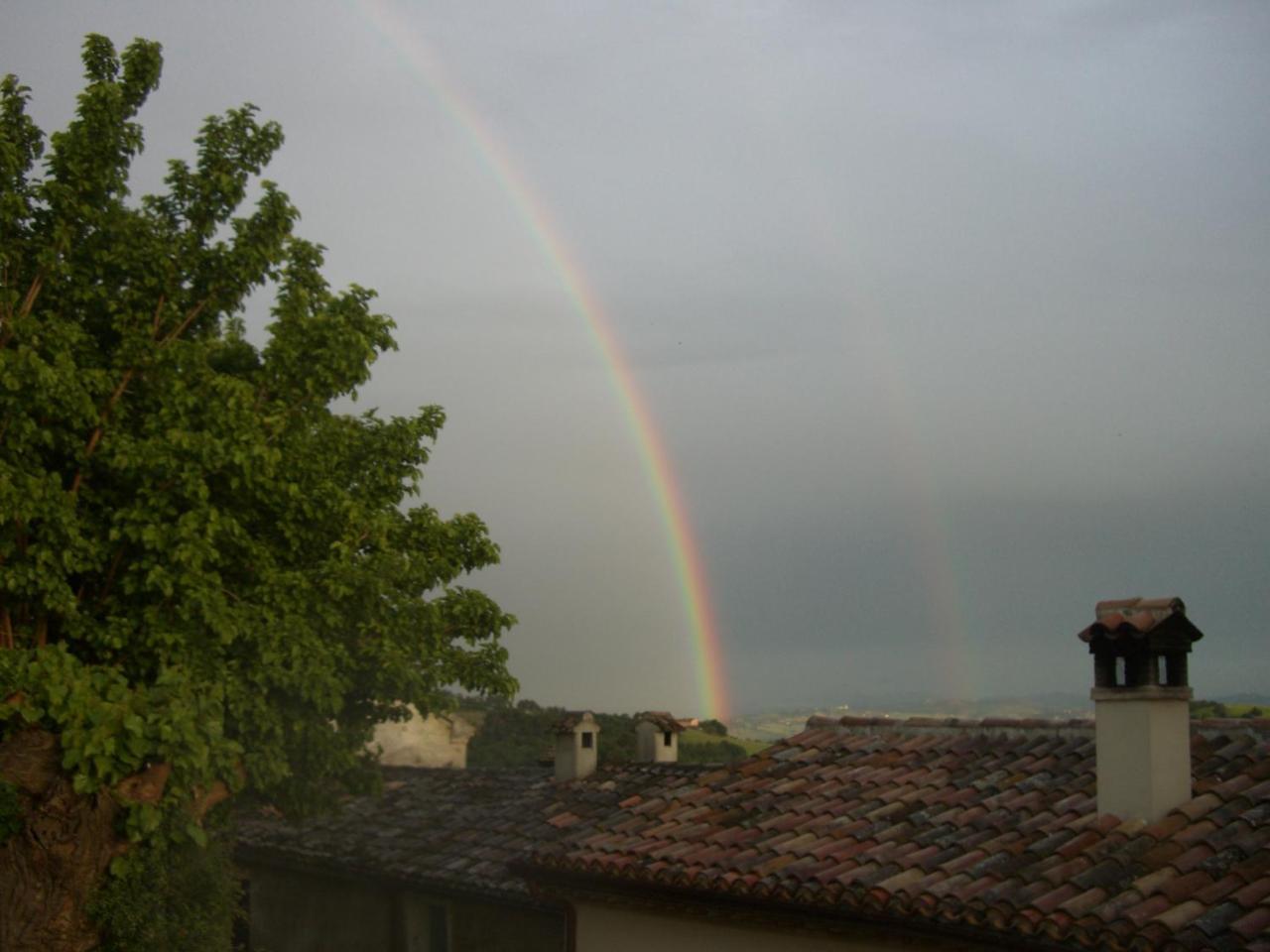 Agriturismo Pozzuolo Serrungarina Екстер'єр фото