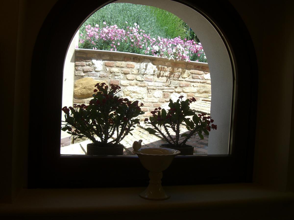 Agriturismo Pozzuolo Serrungarina Екстер'єр фото